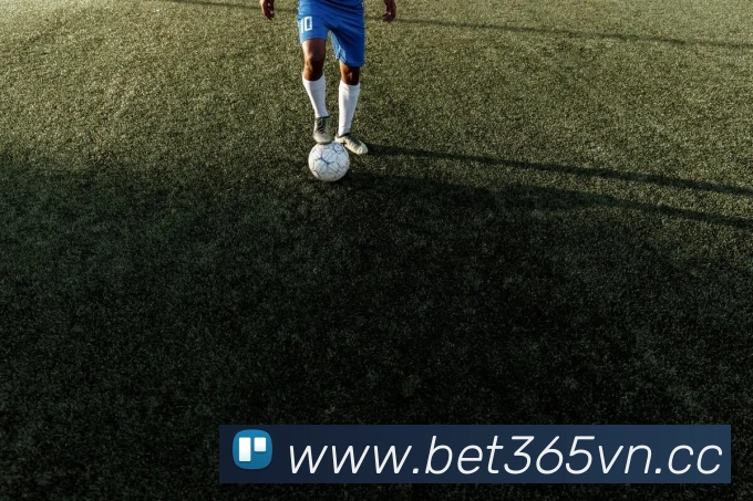 bet365中国官网发展历程